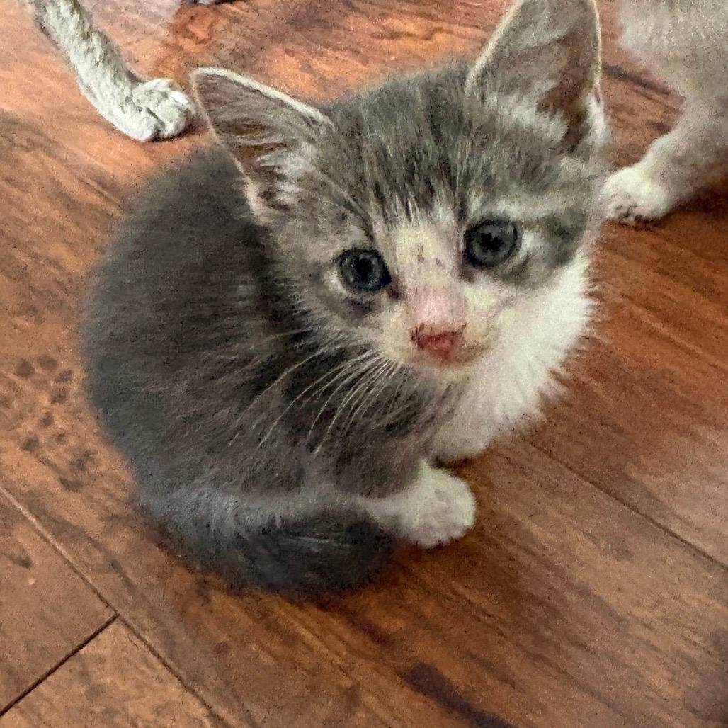 Baby 3