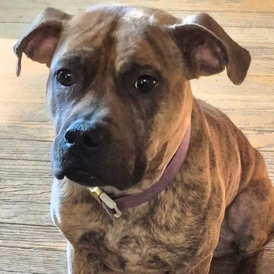Betty 