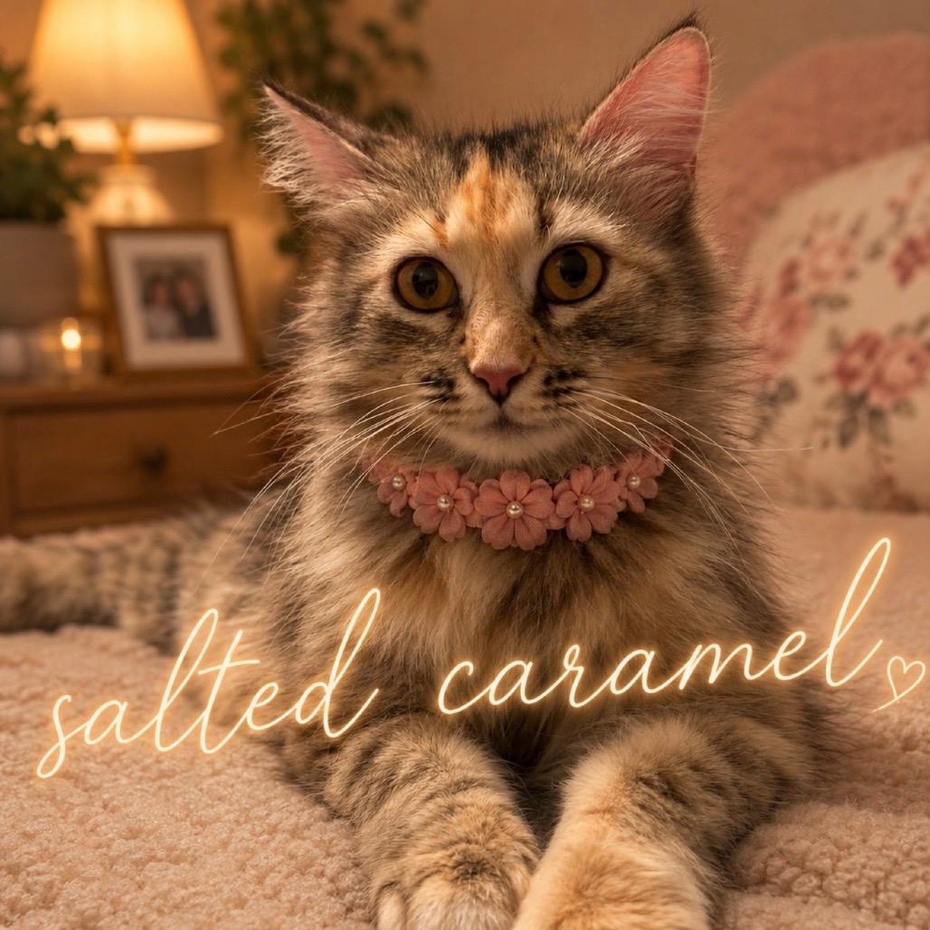 Salted Caramel