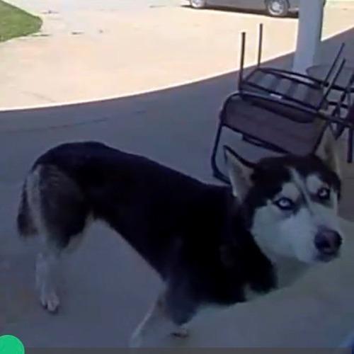 Found 290th St Grand Meadow MN 