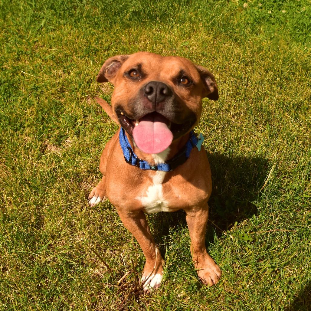 Pablo