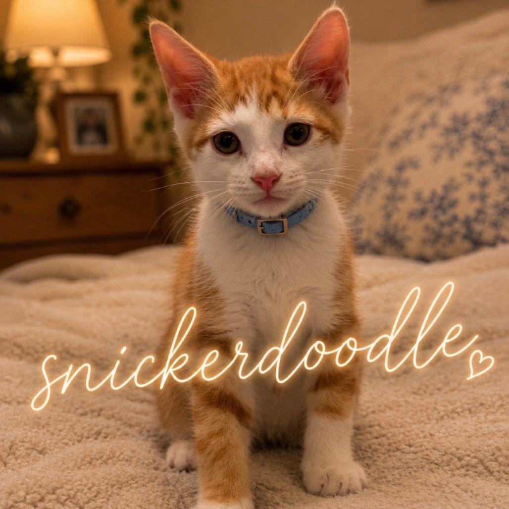 Snickerdoodle