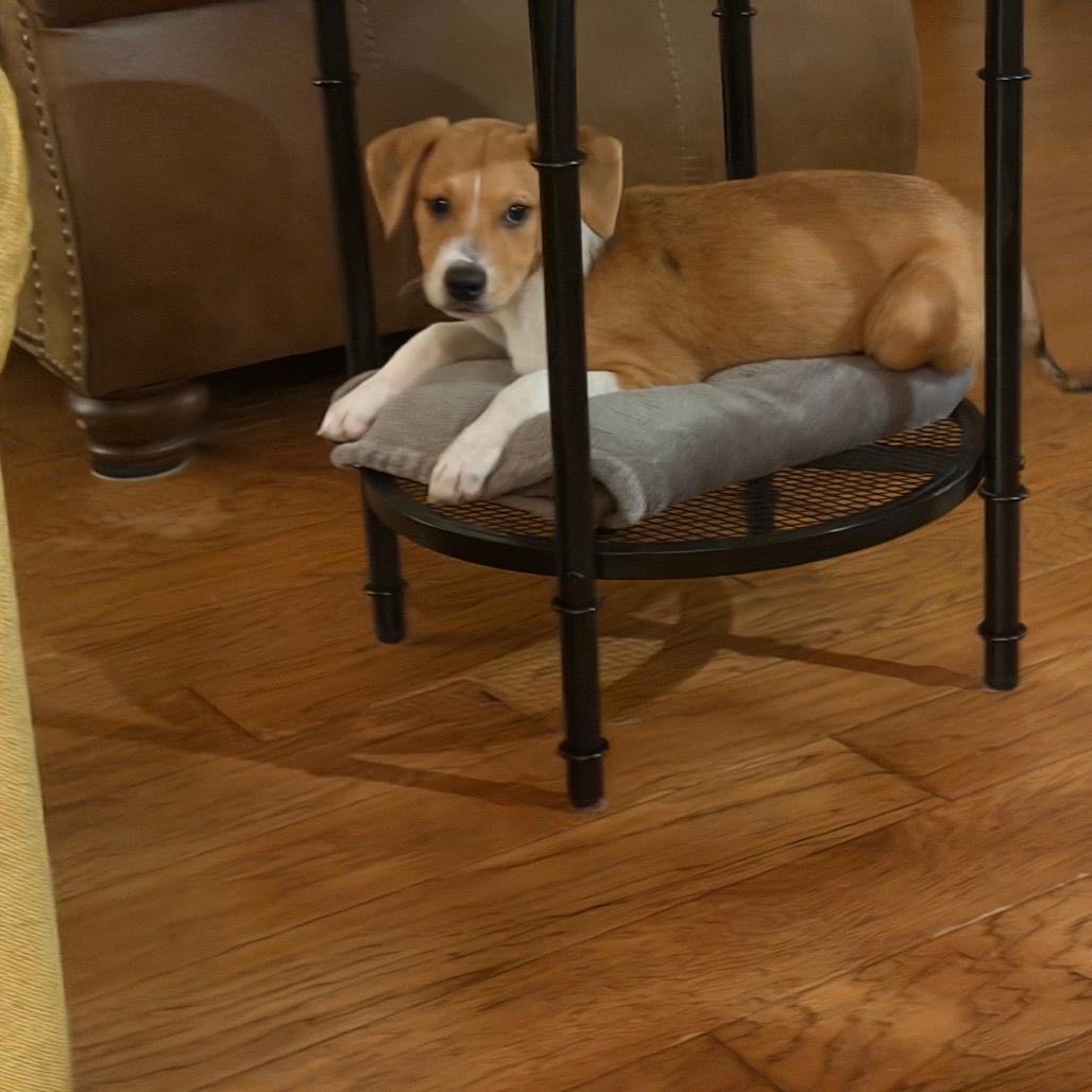 Milo 