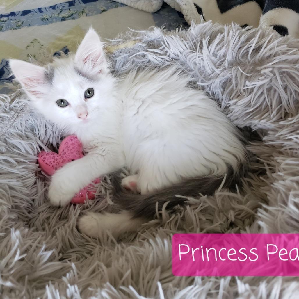 Princess Peach