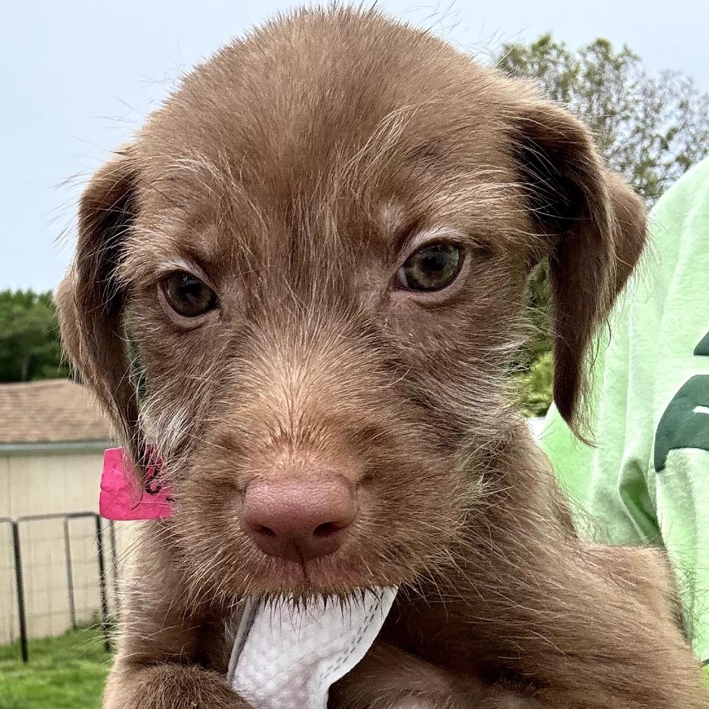 CT Justice avail May 31