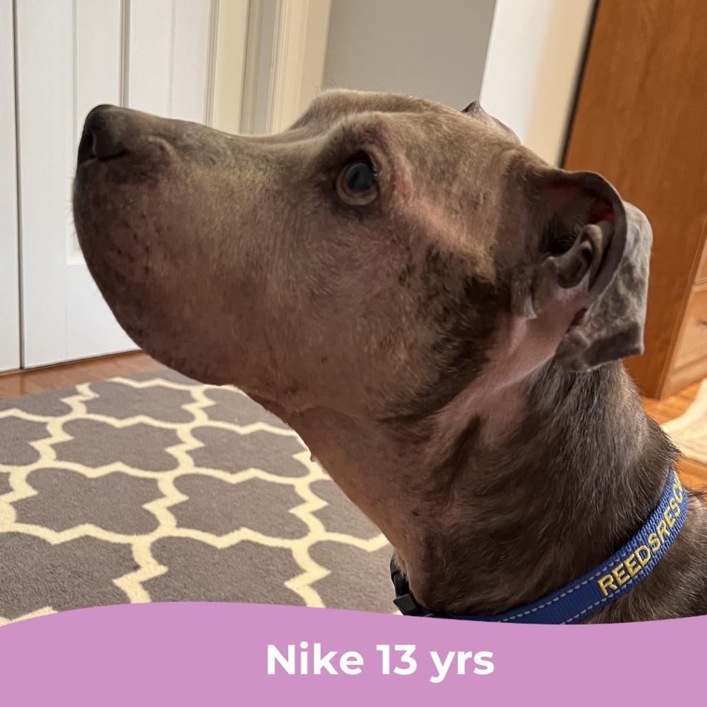 Nike