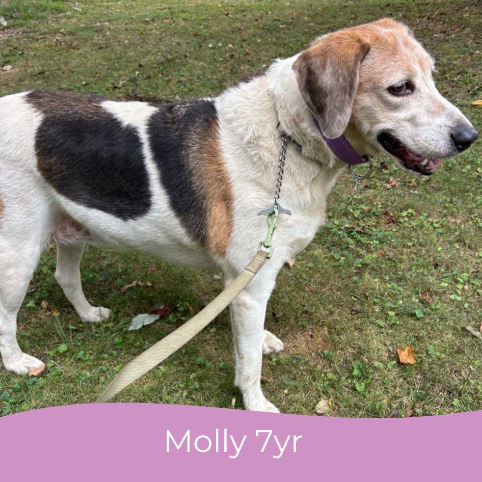 Molly