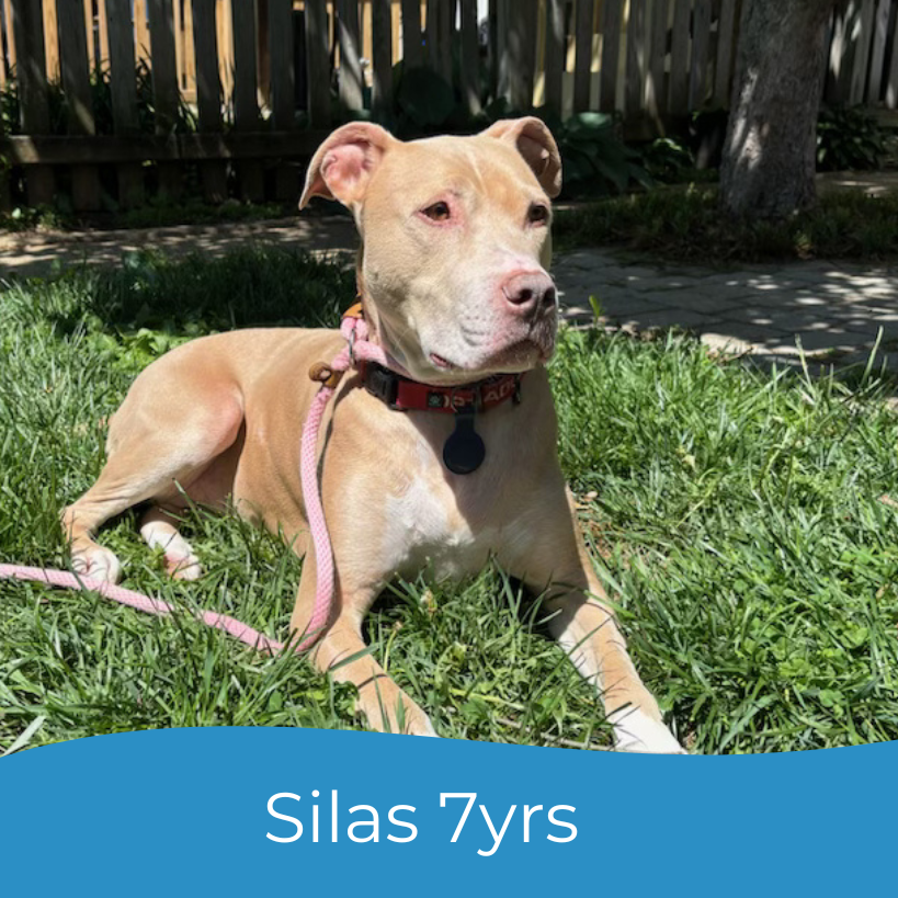 Silas