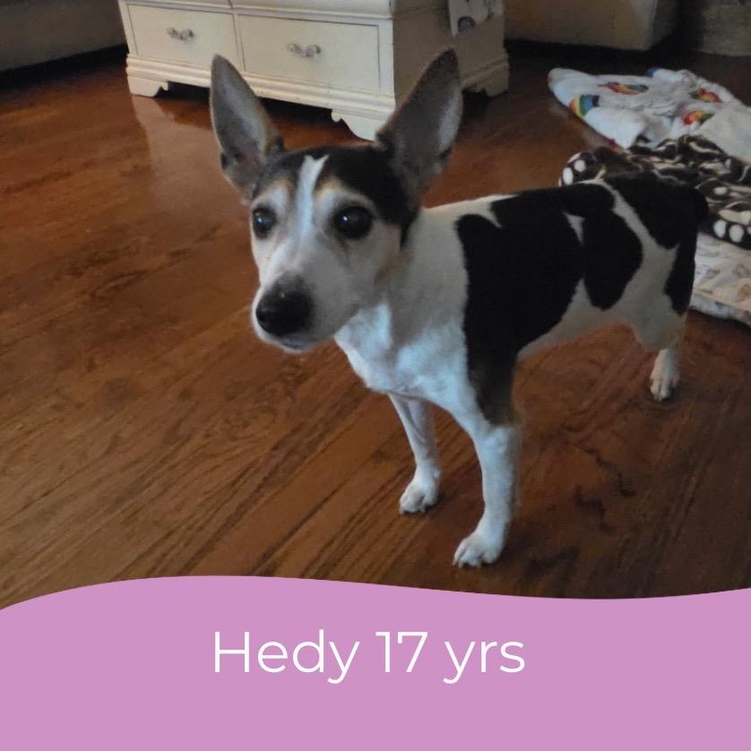 Hedy (Peanut)