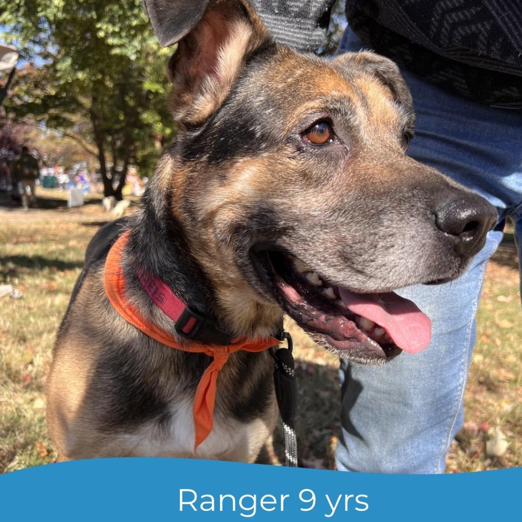 Ranger