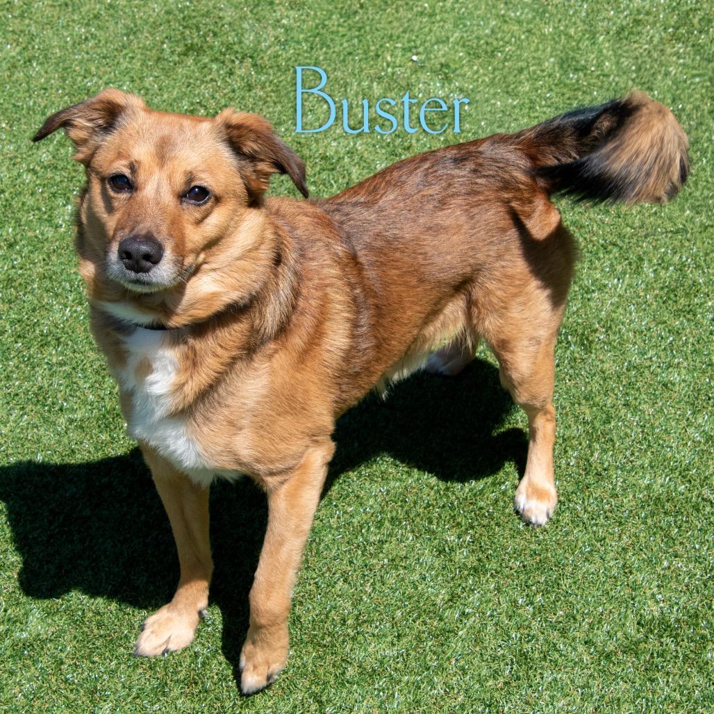 Buster