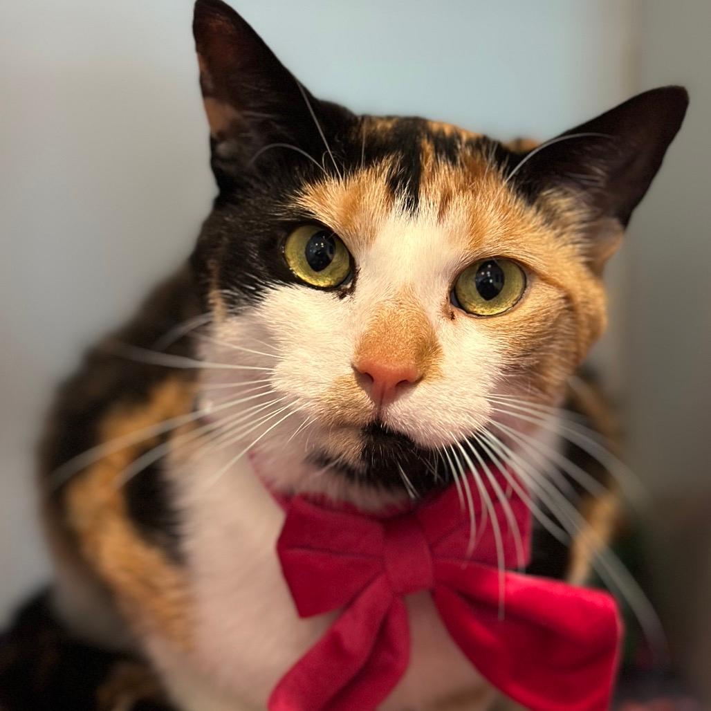 Kali