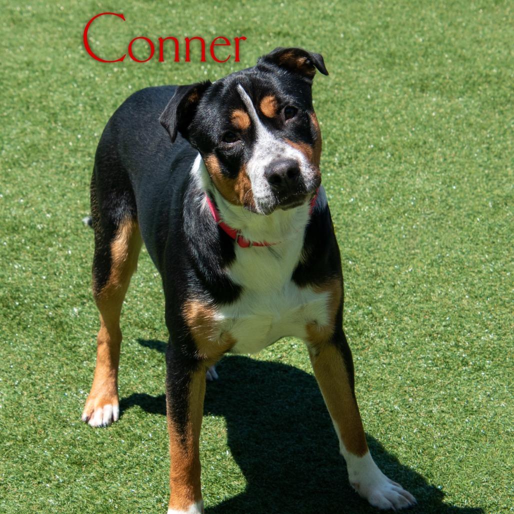 Conner