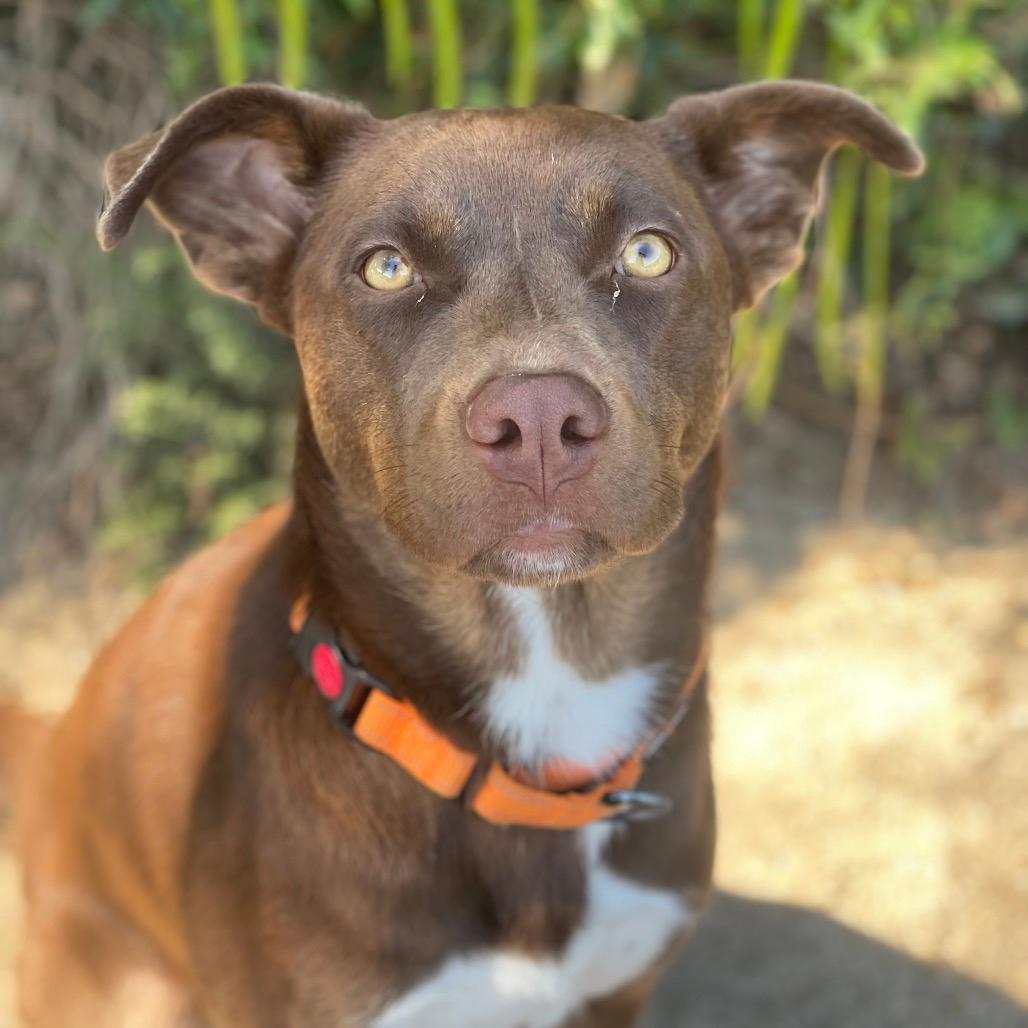 Sammie