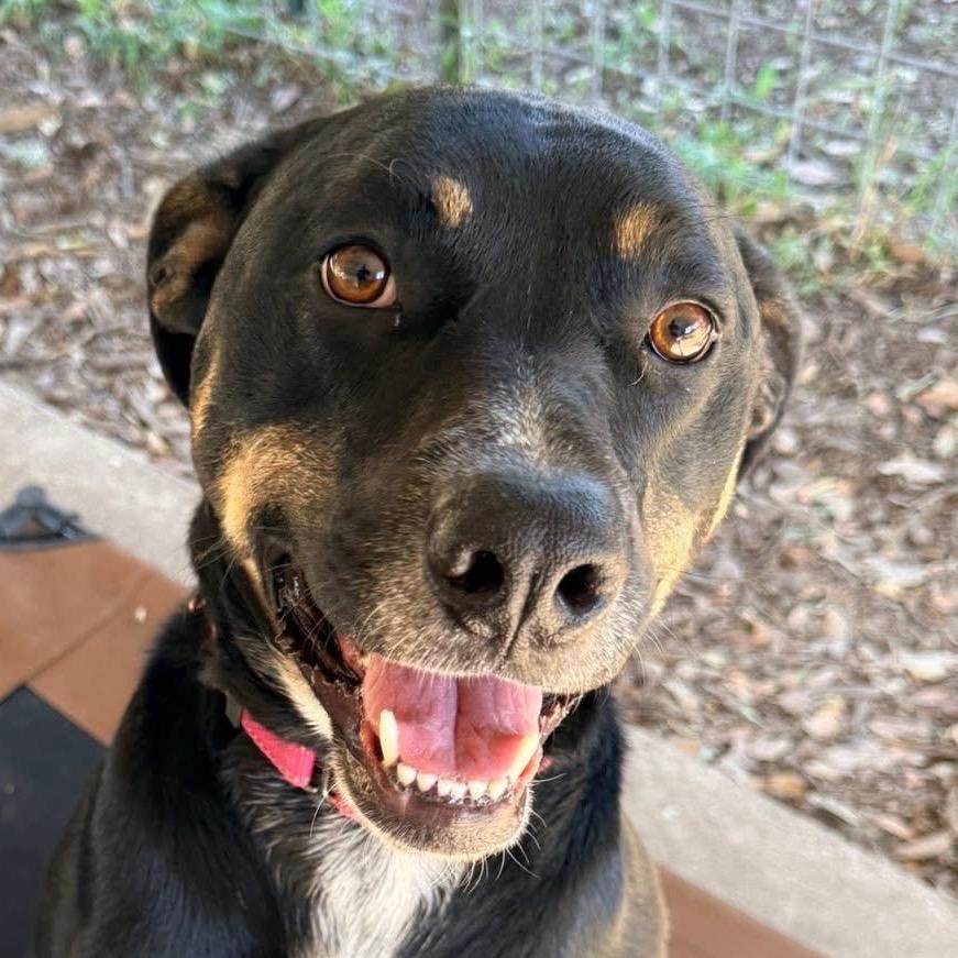 Xena
