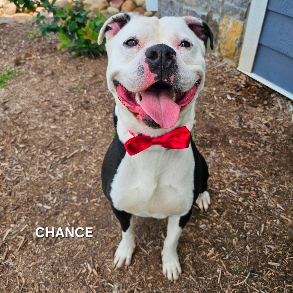 Chance