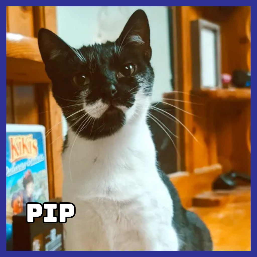 Pip