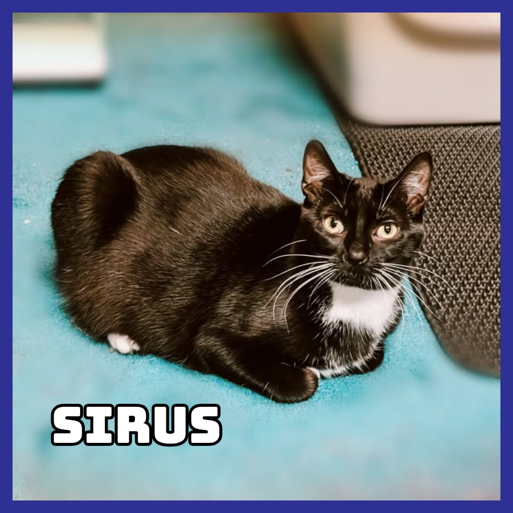 Sirius
