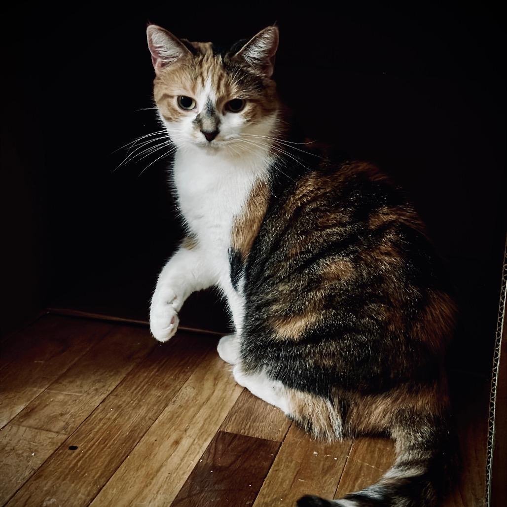 Annie