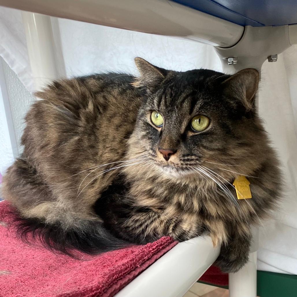 Mikey-In Foster $99