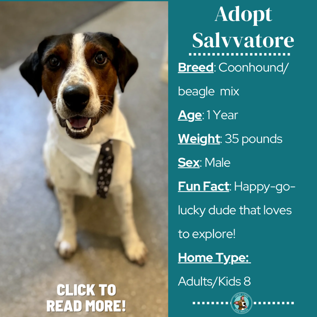 Salvatore