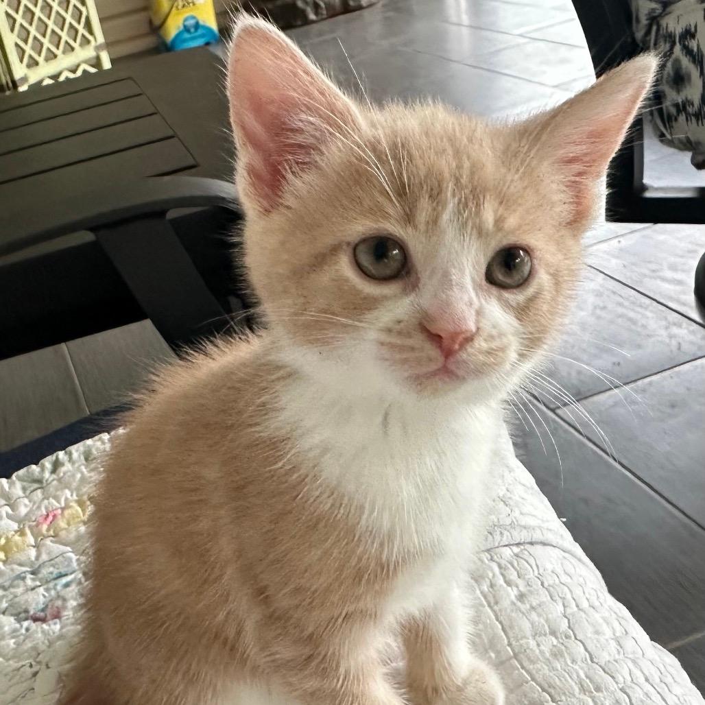 Benny