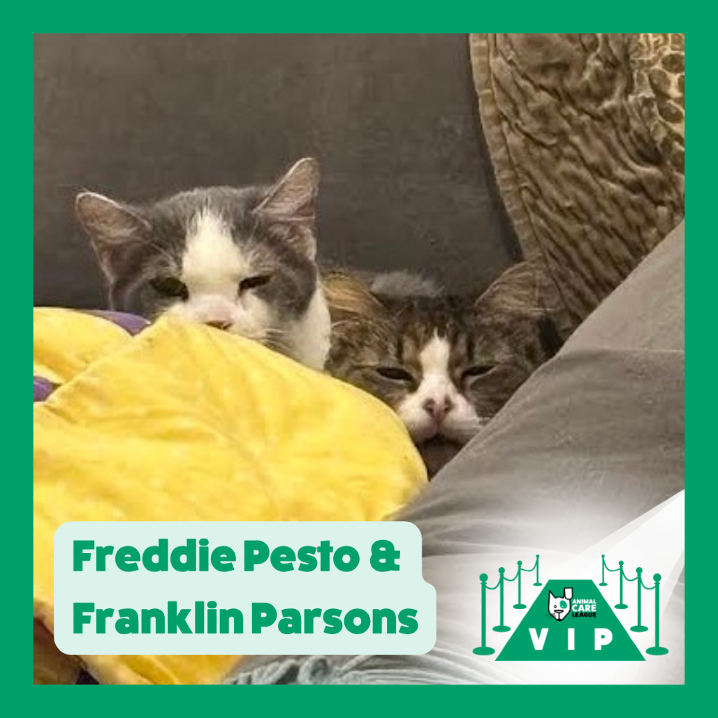 Franklin Parsons and Freddie Pesto - We're a bonded pair!