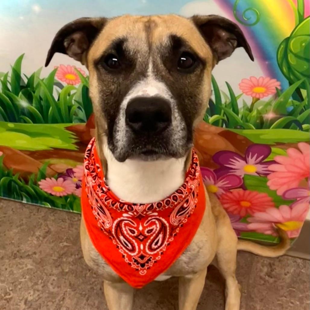 Marvin