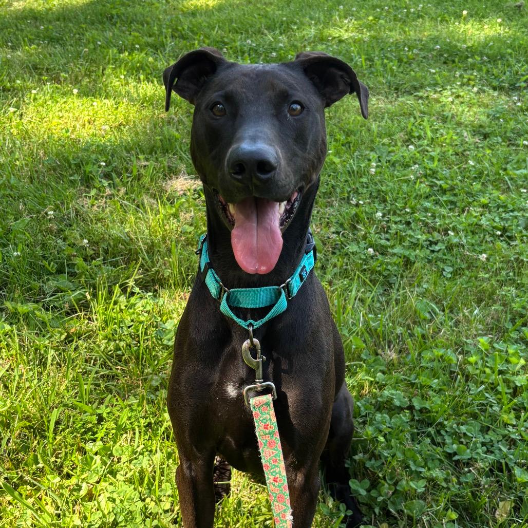 Max