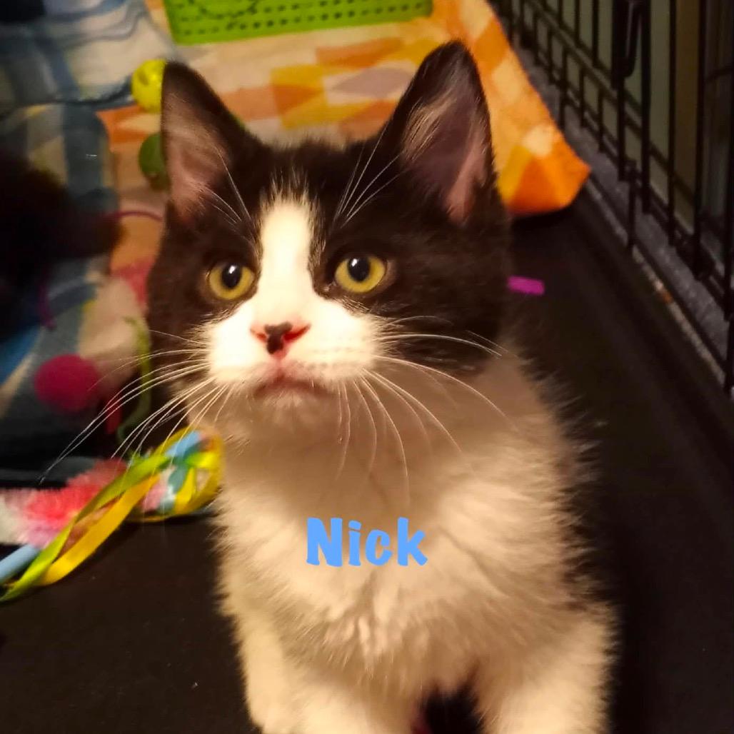 Nick