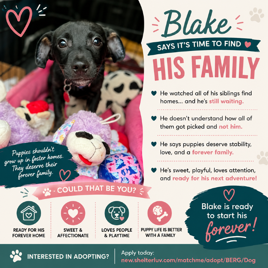 Blake 