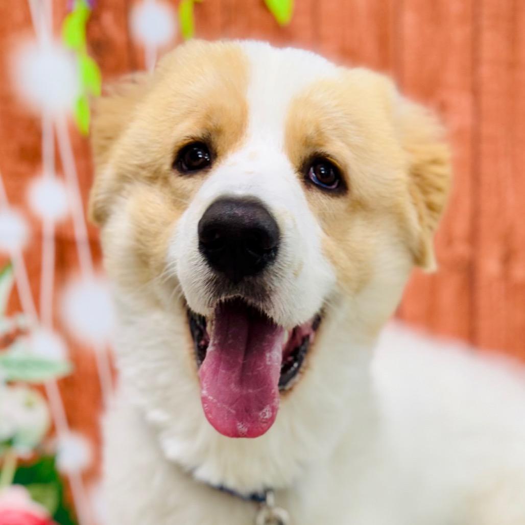 Milo