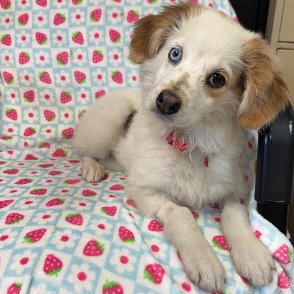 Hope (East Brady)