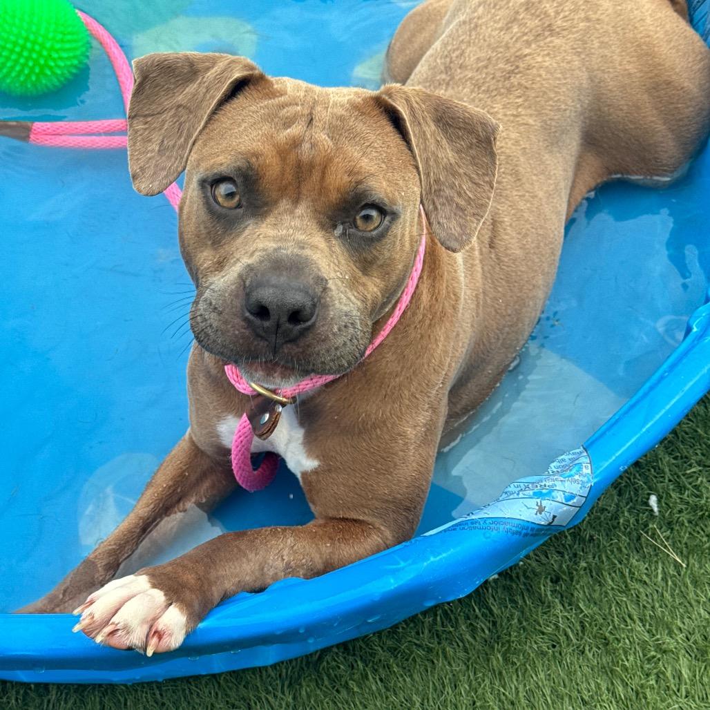 Mabel