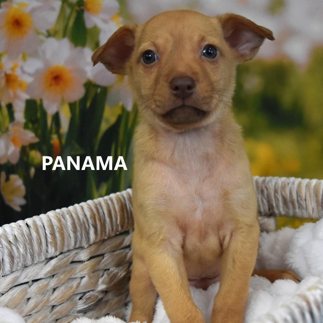 Panama