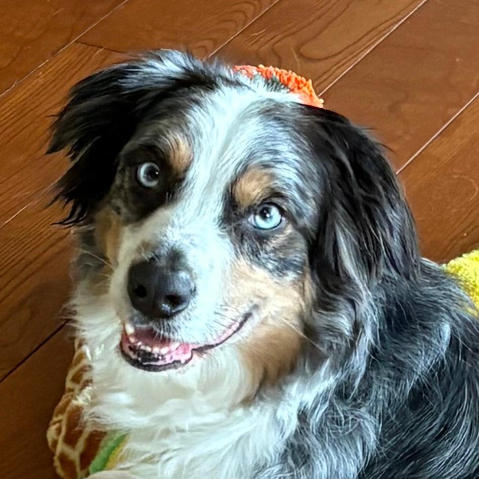 Otis