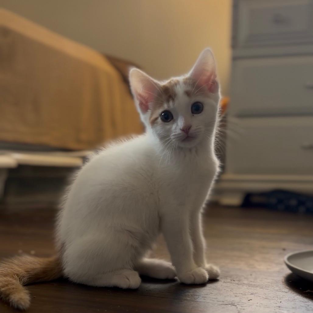 Charlie