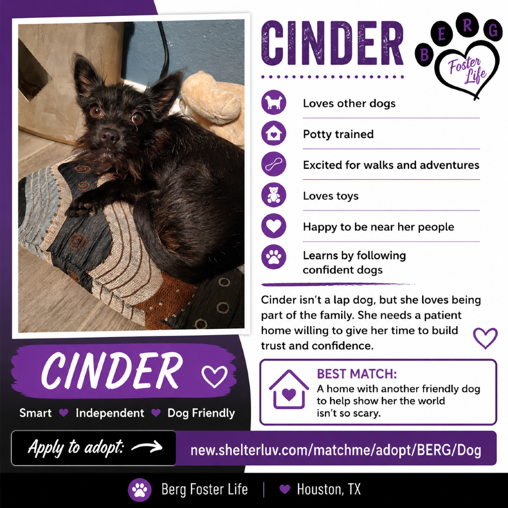 Cinder