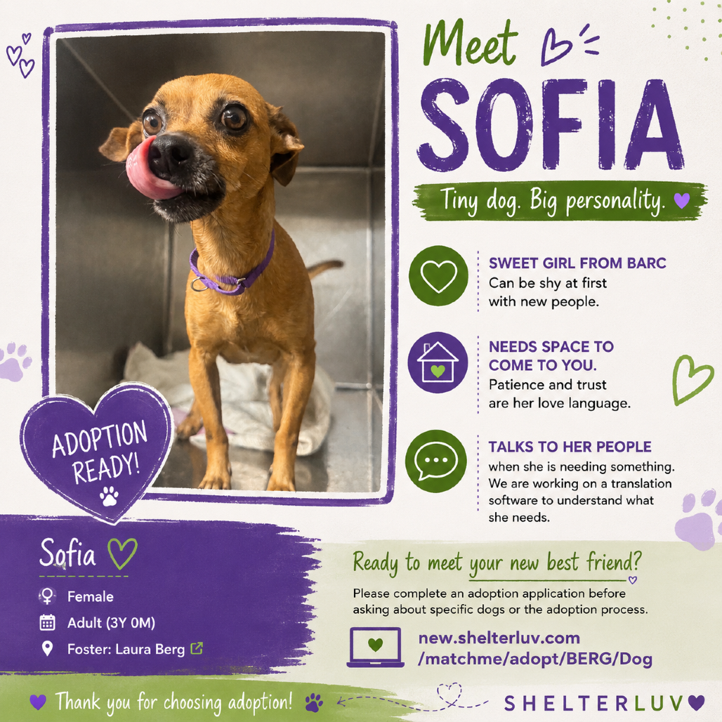 Sofia
