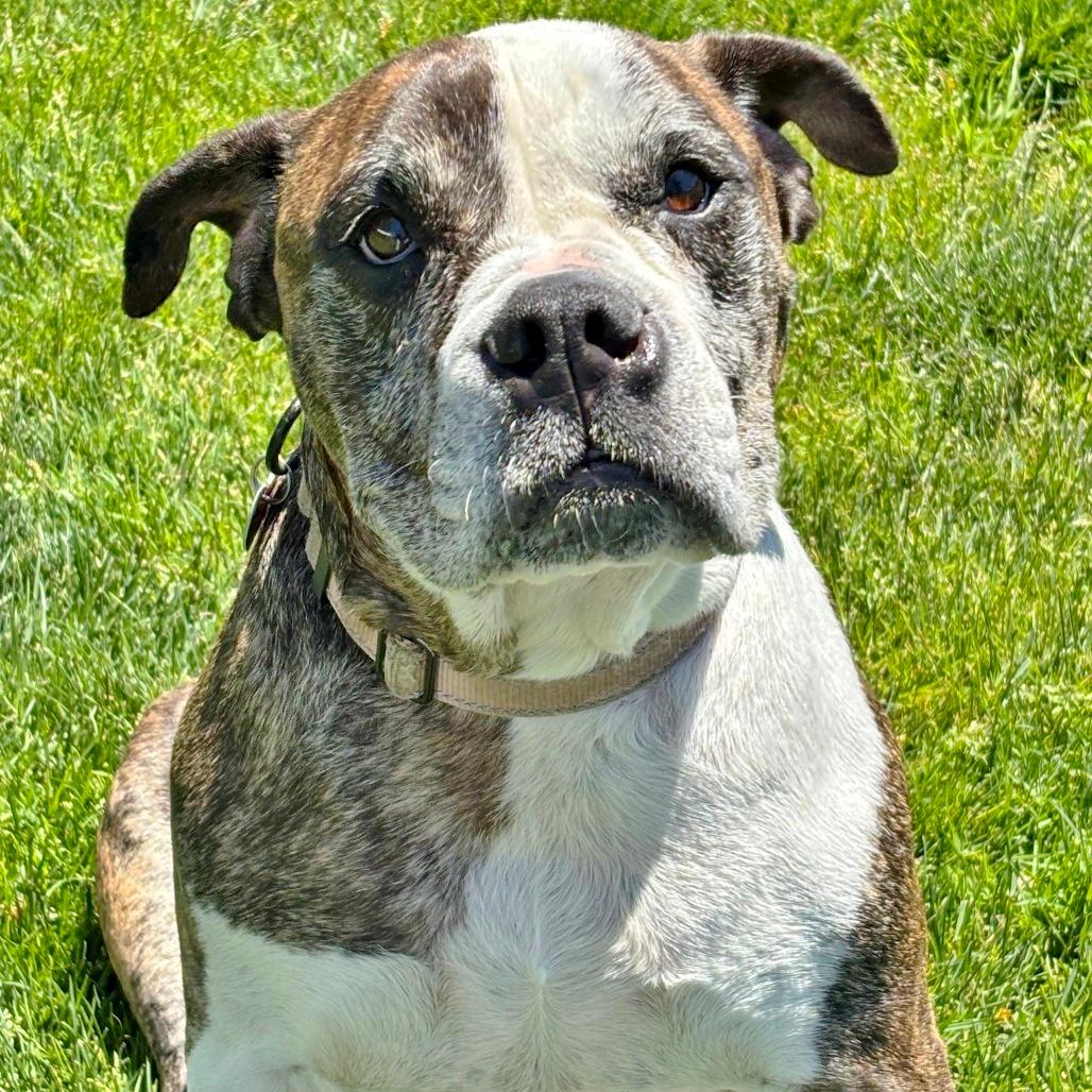 Lena