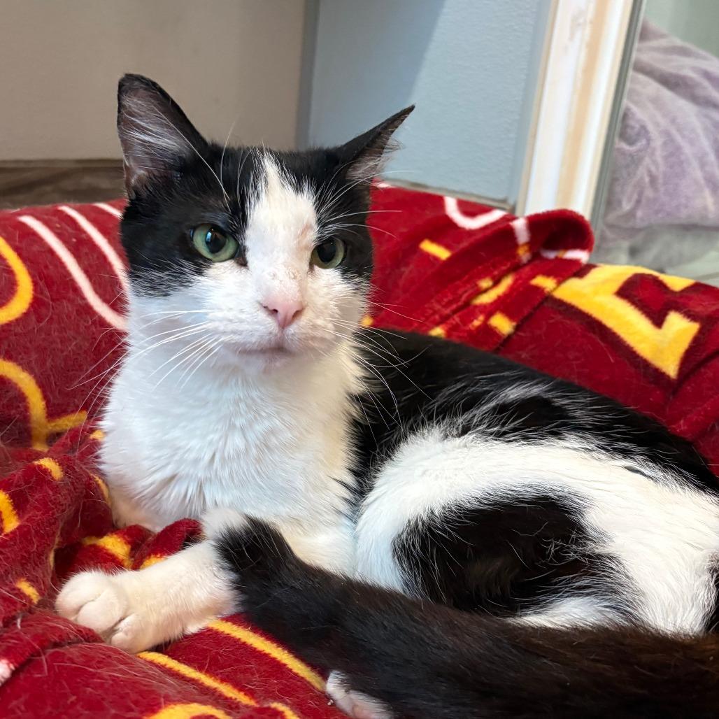 Valley