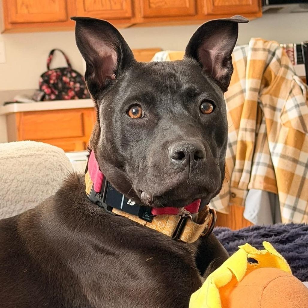 Reuben