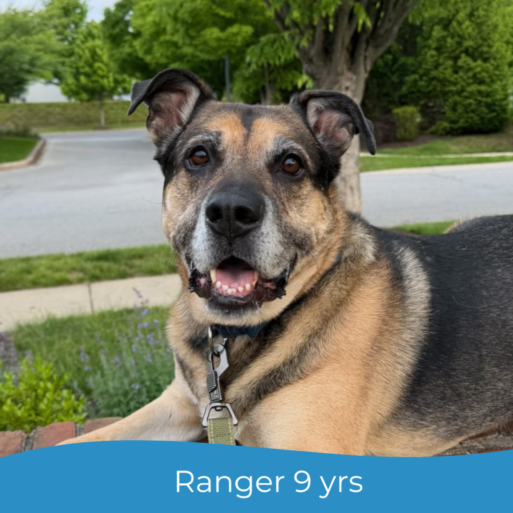 Ranger