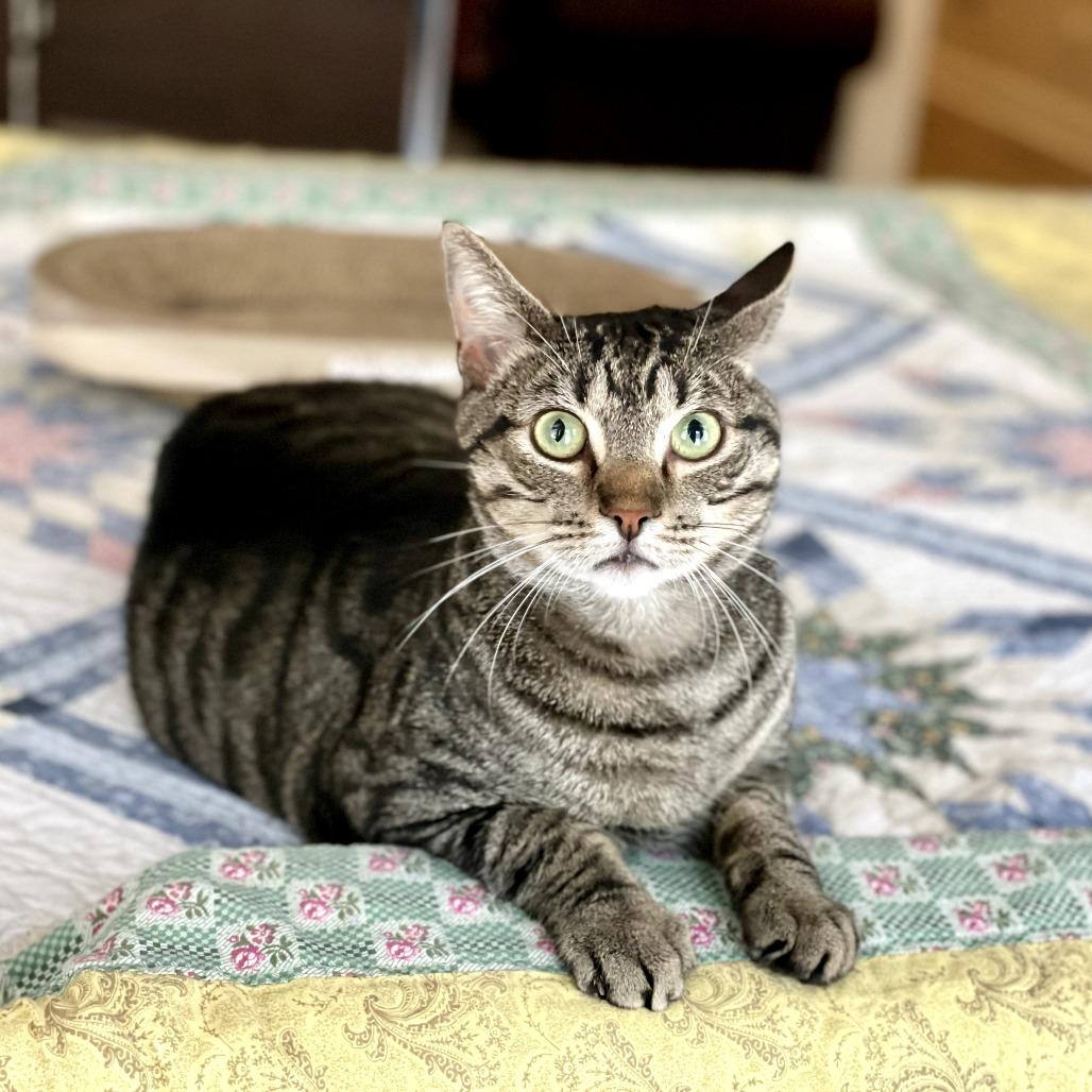 Thomas
