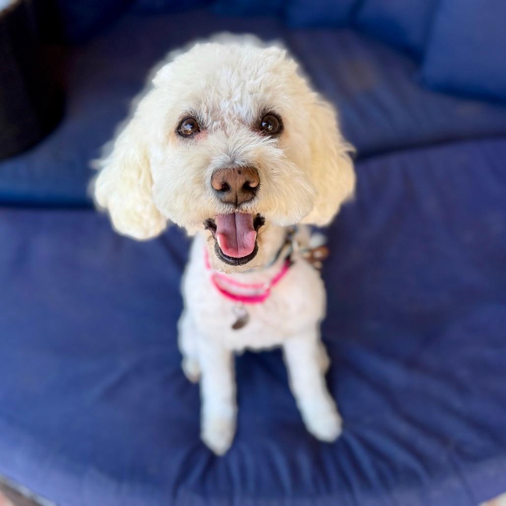 Chiquita