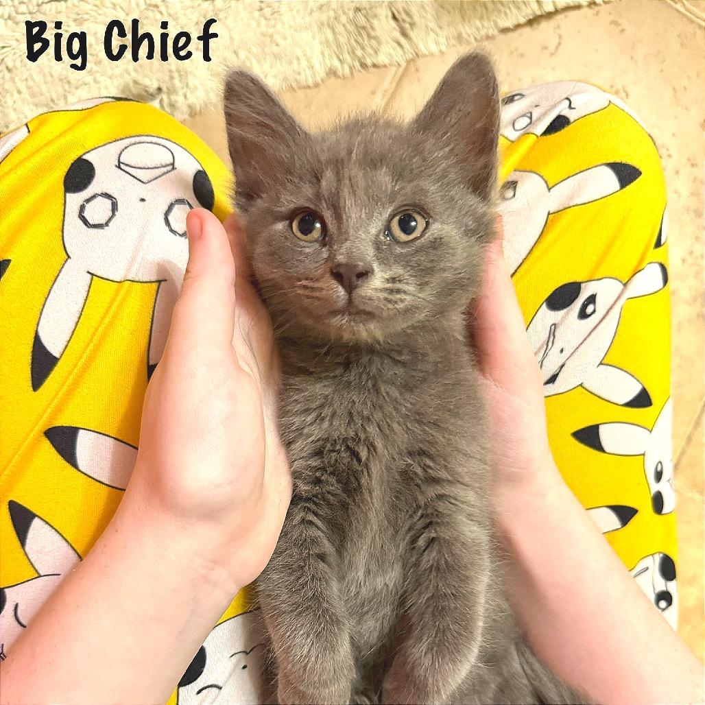 Big Chief