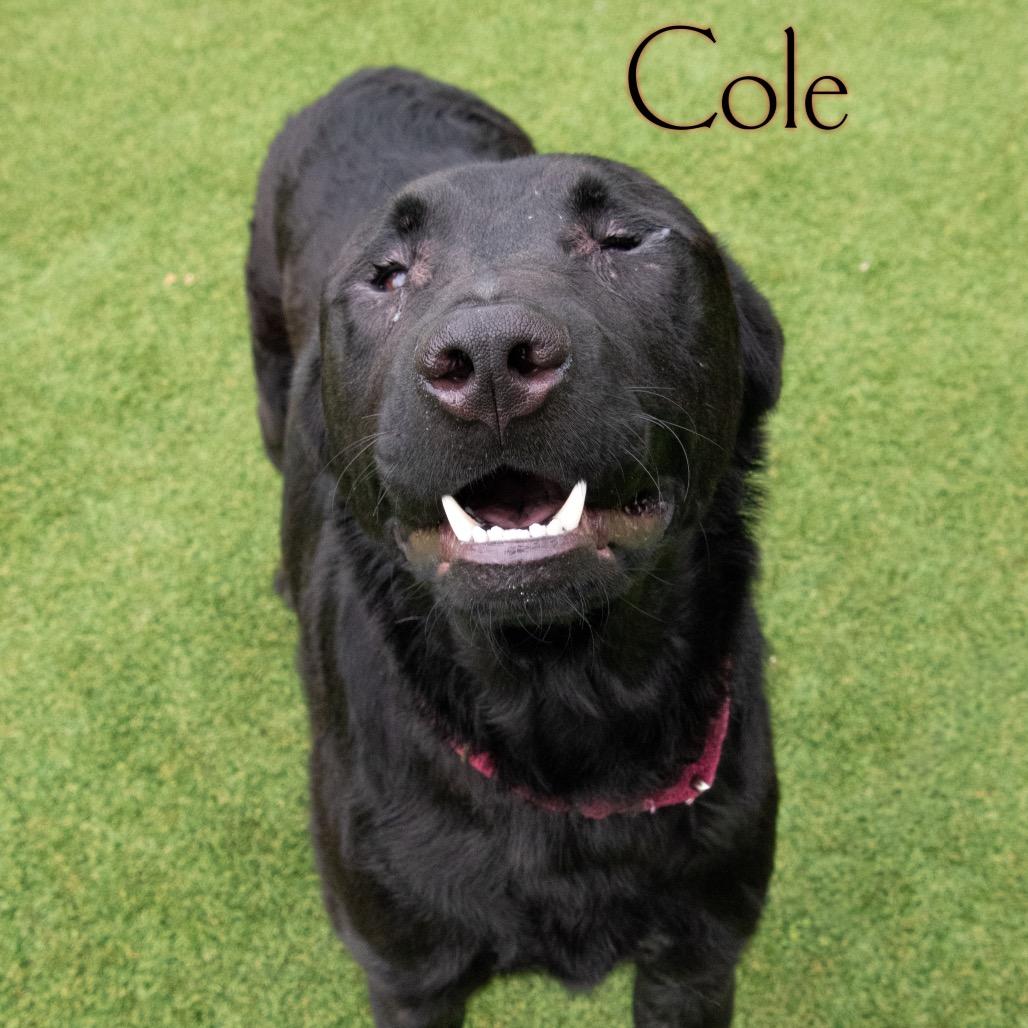 Cole 