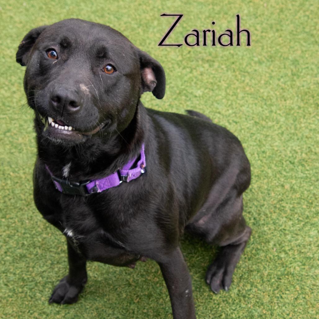 Zariah 