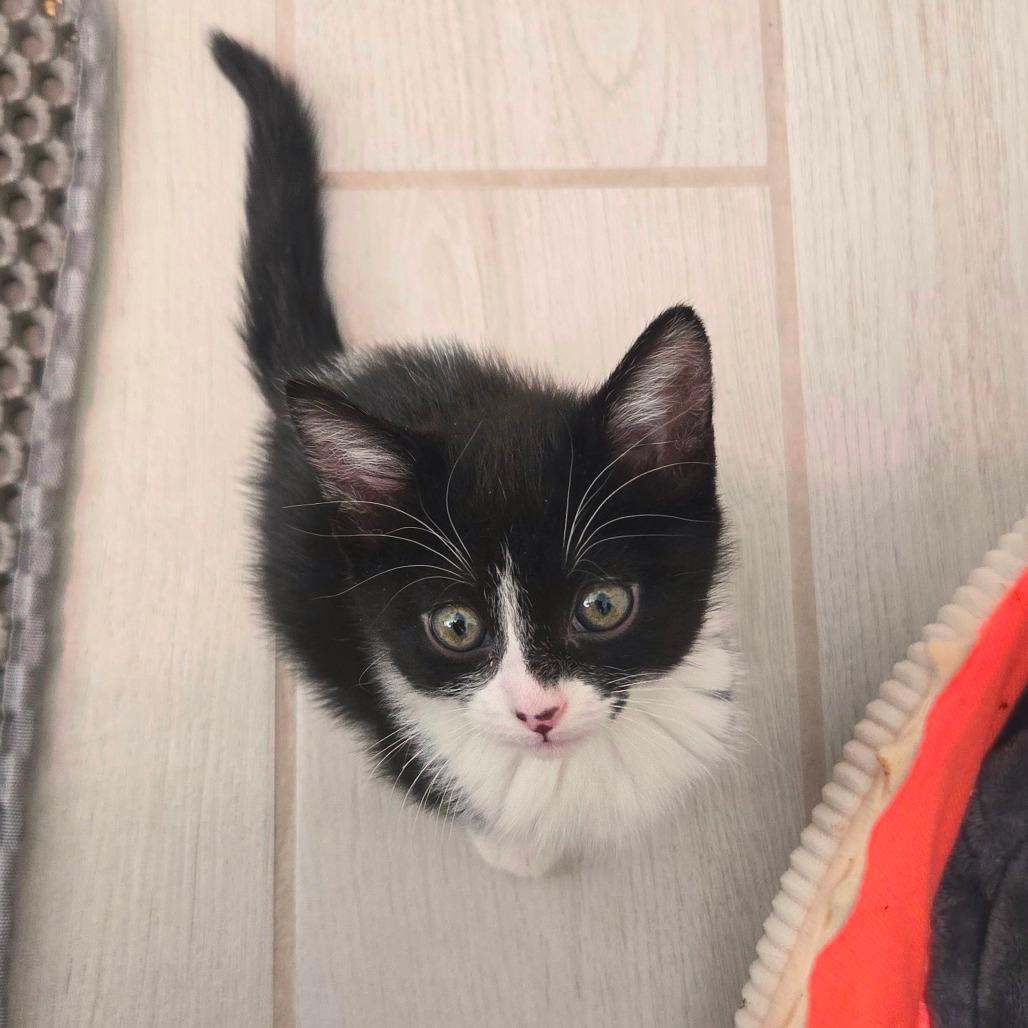 Chloe