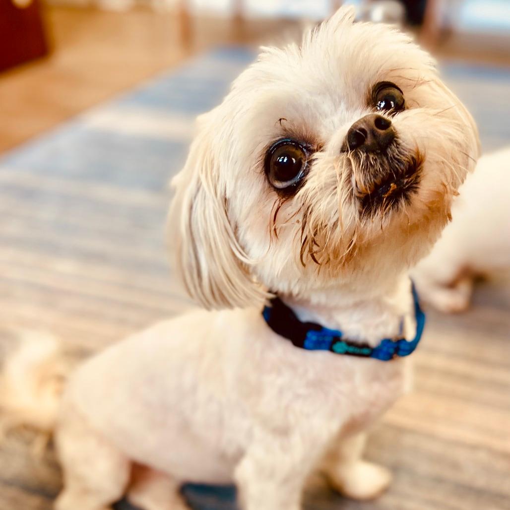 Darla